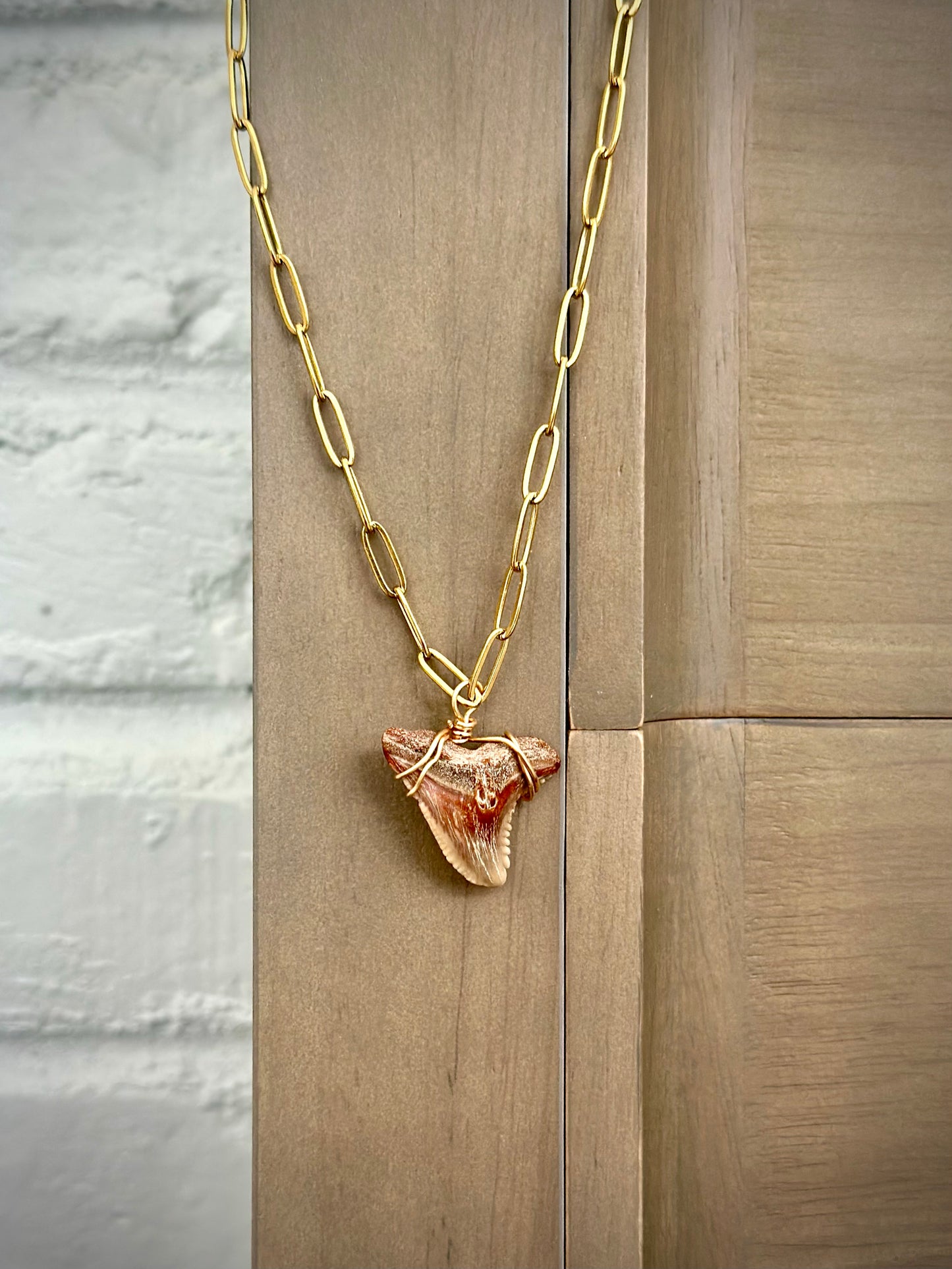 Shark Tooth Necklace - Paperclip Tarnish Resistant Gold Chain
