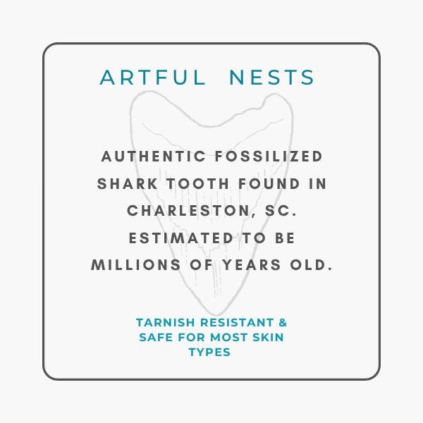 Fossil Shark Tooth Necklace: Gold Chain Coastal Jewelry