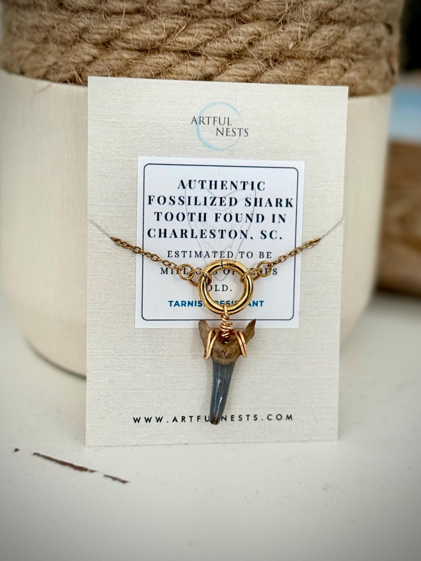 Shark Tooth Necklace with Gold Chain and Charm Holder - Coastal Jewelry