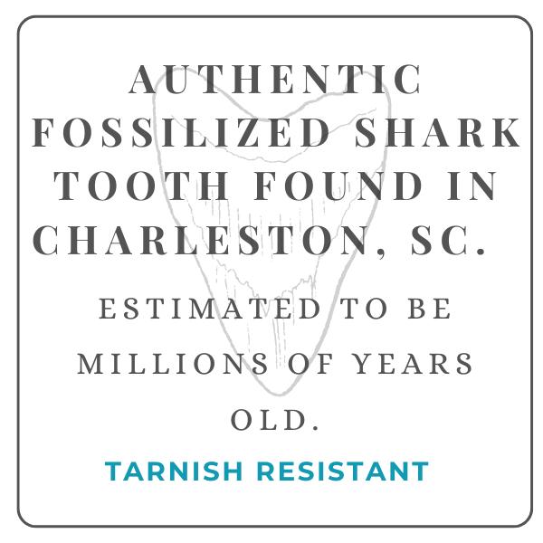 Shark Tooth Necklace | Gold Satellite Chain | Waterproof Coastal Jewelry