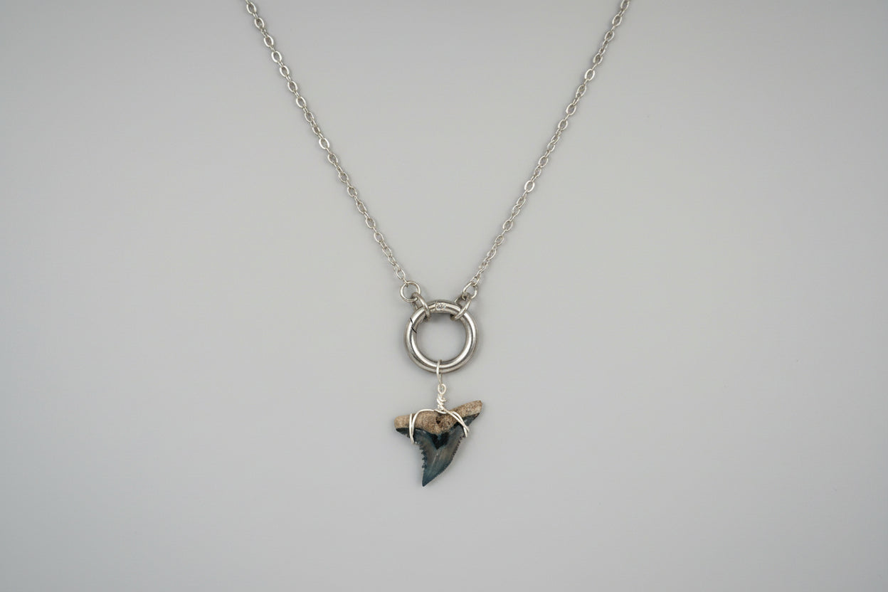 Necklace with a small shark tooth pendant on a gray background