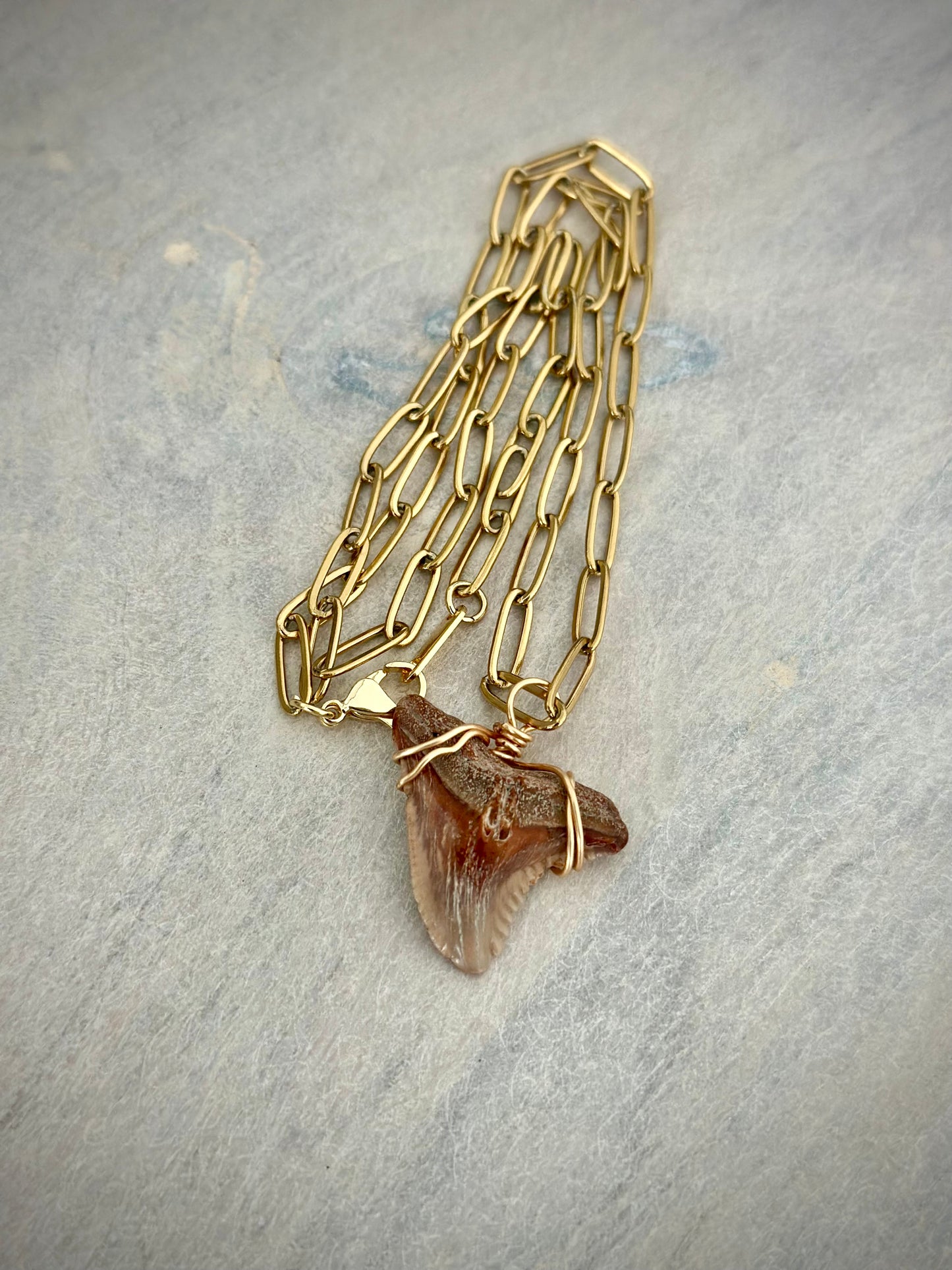 Shark Tooth Necklace - Paperclip Tarnish Resistant Gold Chain