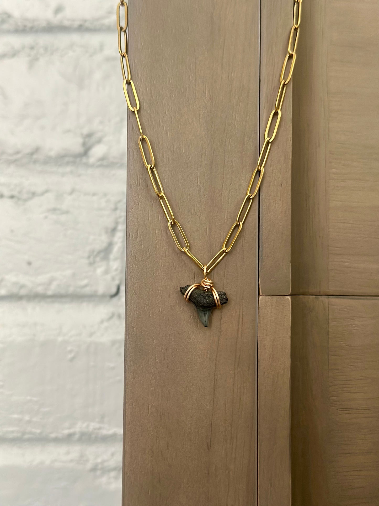 Shark Tooth Necklace - Paperclip Tarnish Resistant Gold Chain