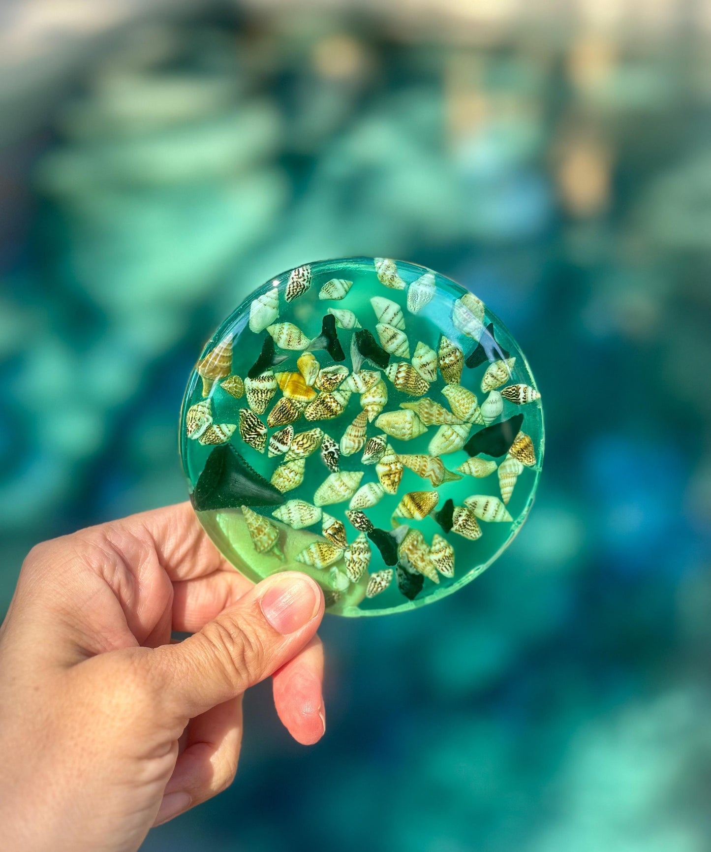 Resin Coaster Set of Two With Shells and Shark teeth- Beach House Decor