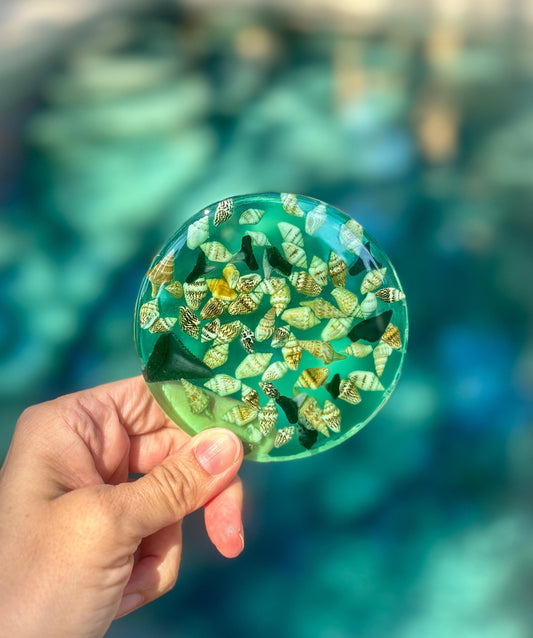 Resin Coaster Set of Two With Shells and Shark teeth- Beach House Decor