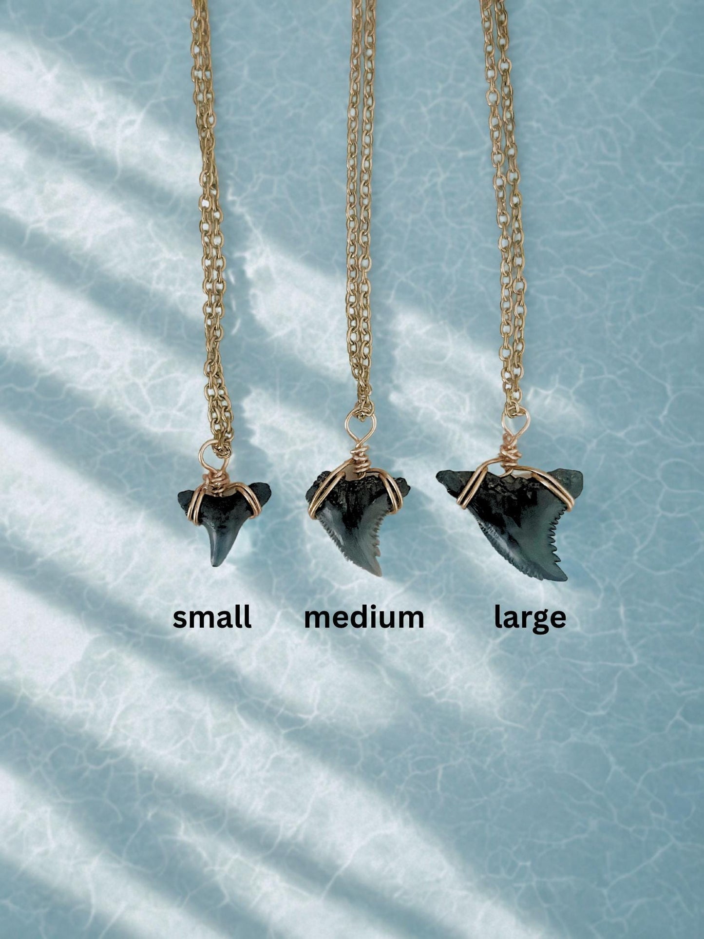 Real Shark Tooth Pendant Necklace: Gold Paperclip Chain, Coastal Jewelry