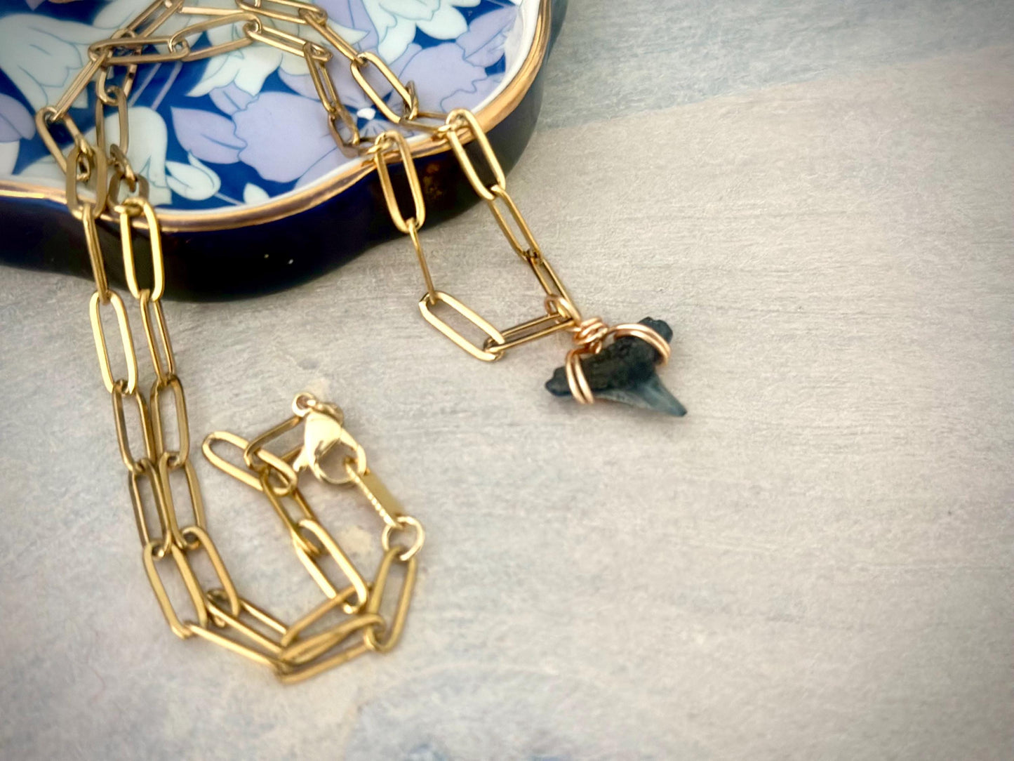 Real Shark Tooth Pendant Necklace: Gold Paperclip Chain, Coastal Jewelry