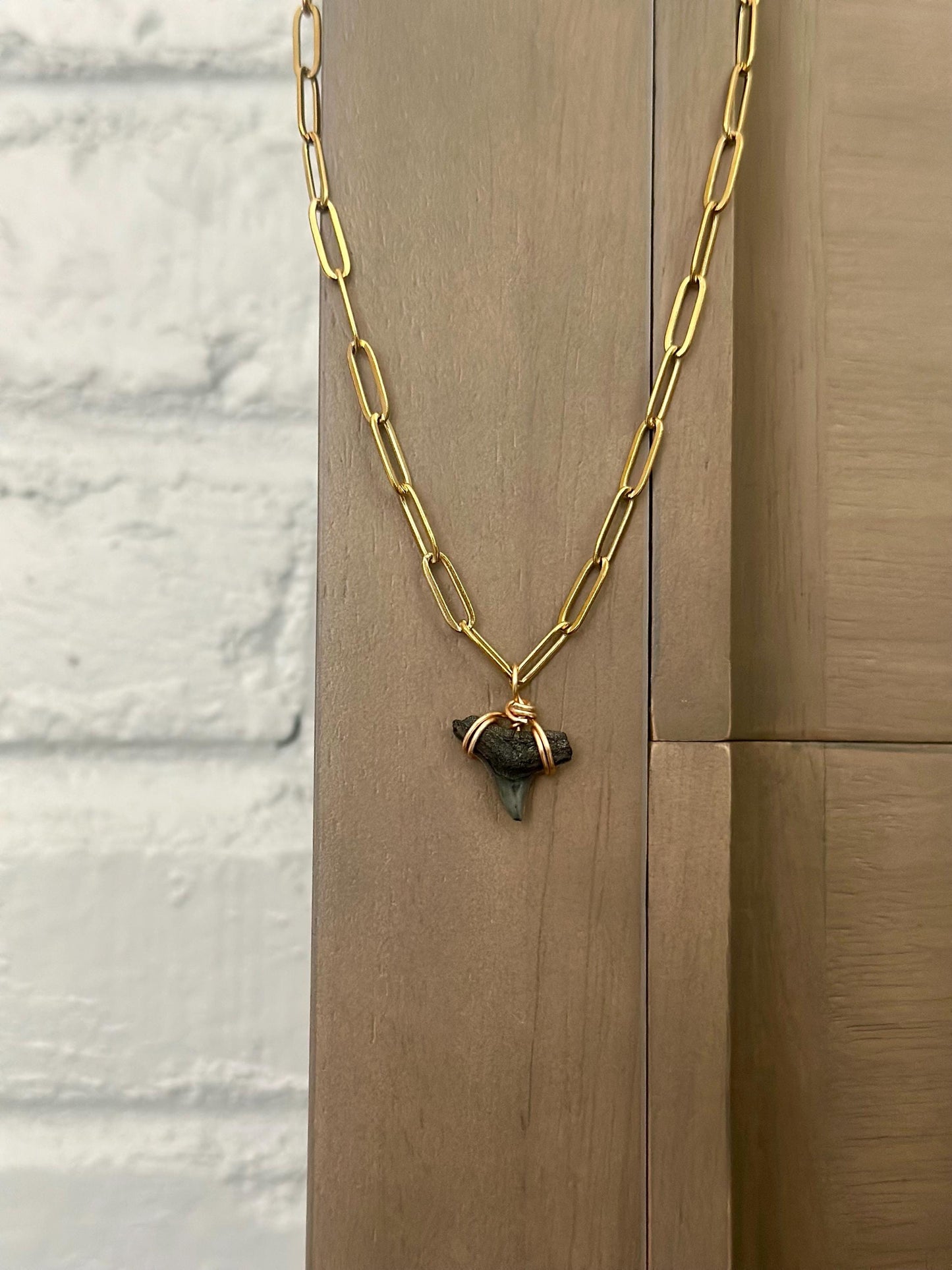 Real Shark Tooth Pendant Necklace: Gold Paperclip Chain, Coastal Jewelry