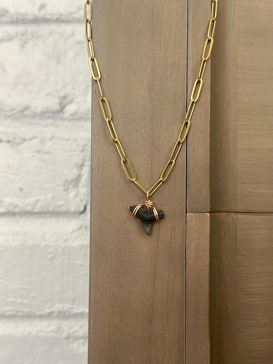 Real Shark Tooth Pendant Necklace: Gold Paperclip Chain, Coastal Jewelry
