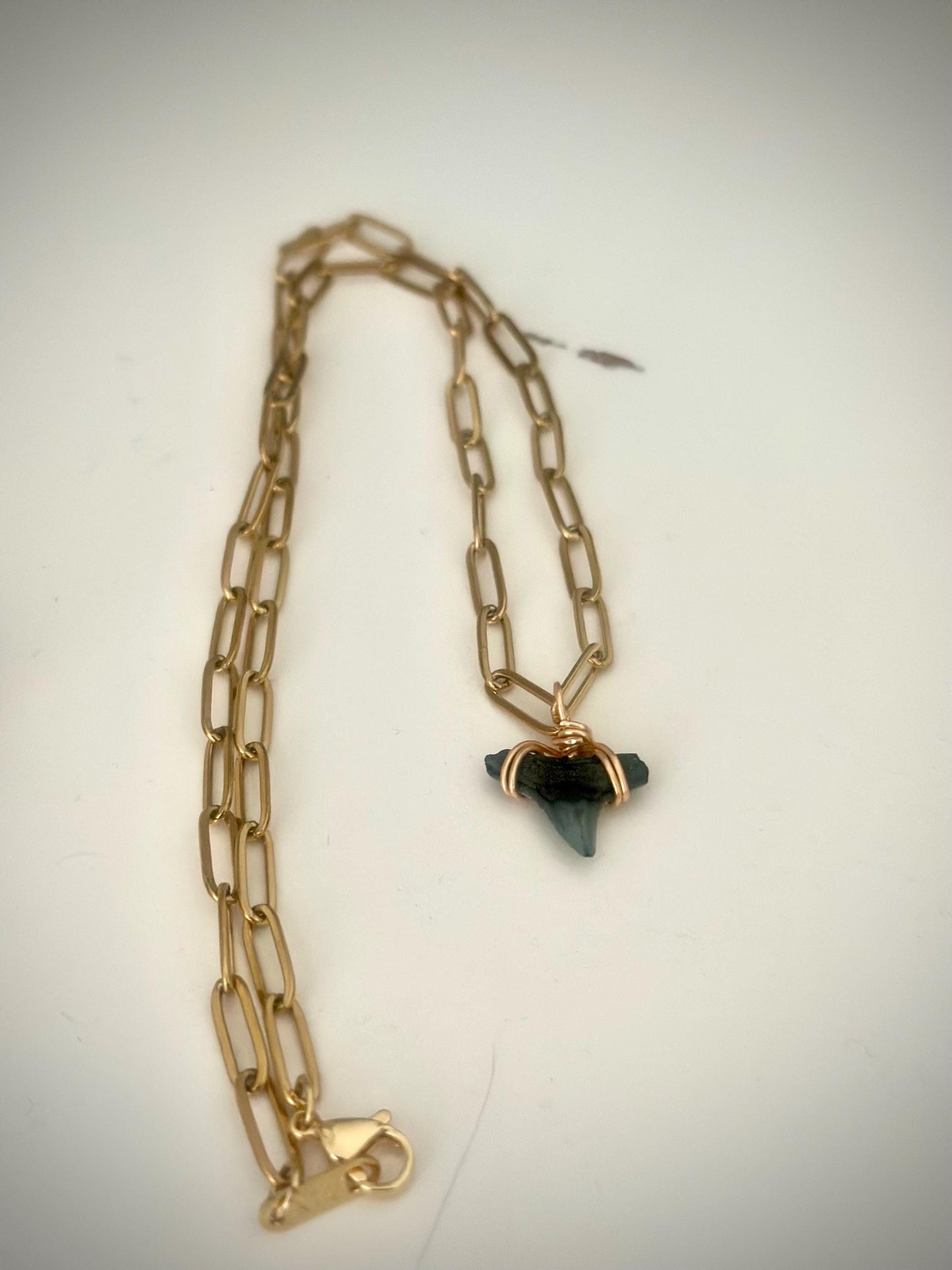 Real Shark Tooth Pendant Necklace: Gold Paperclip Chain, Coastal Jewelry