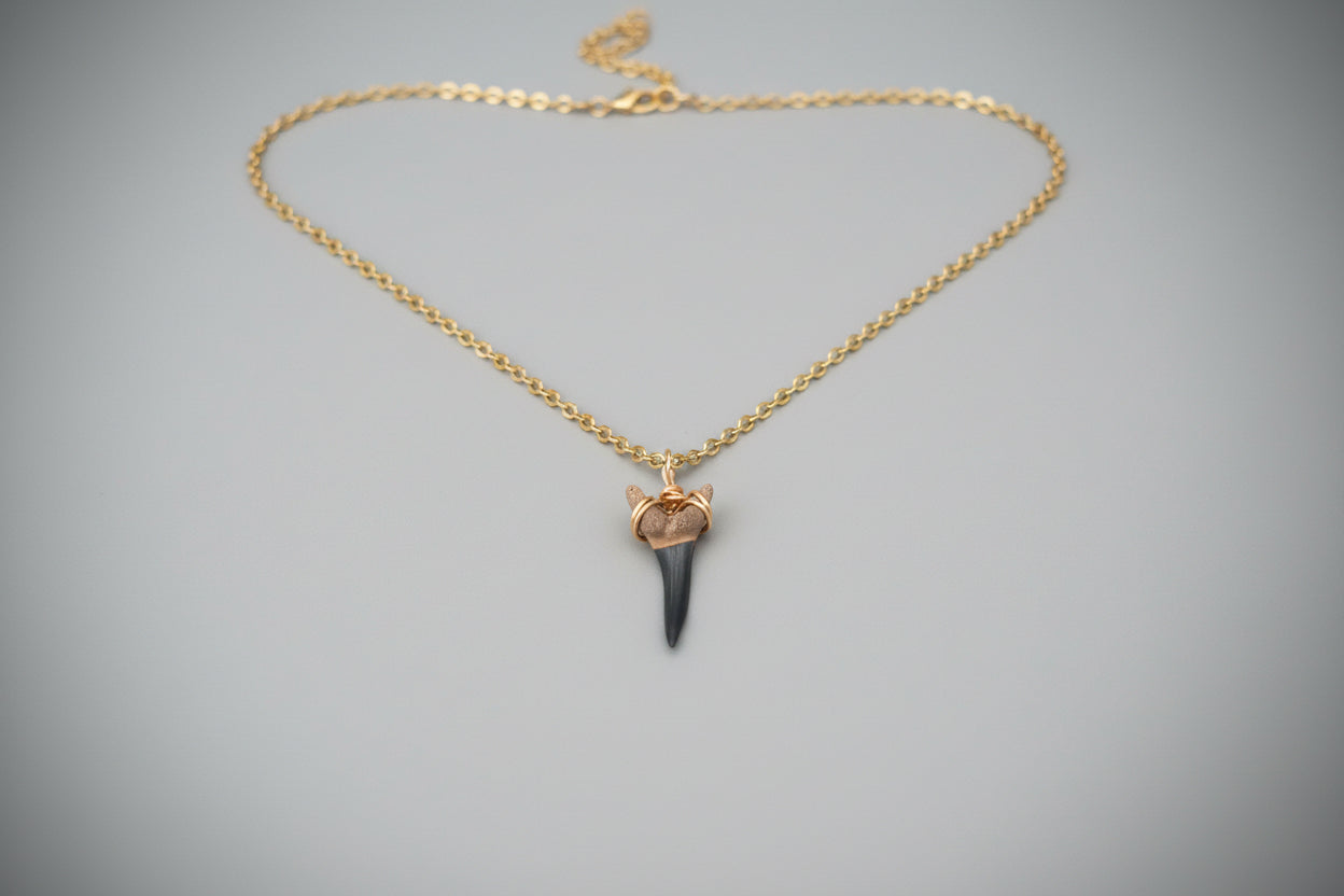 Fossil Shark Tooth Necklace: Gold Chain Coastal Jewelry