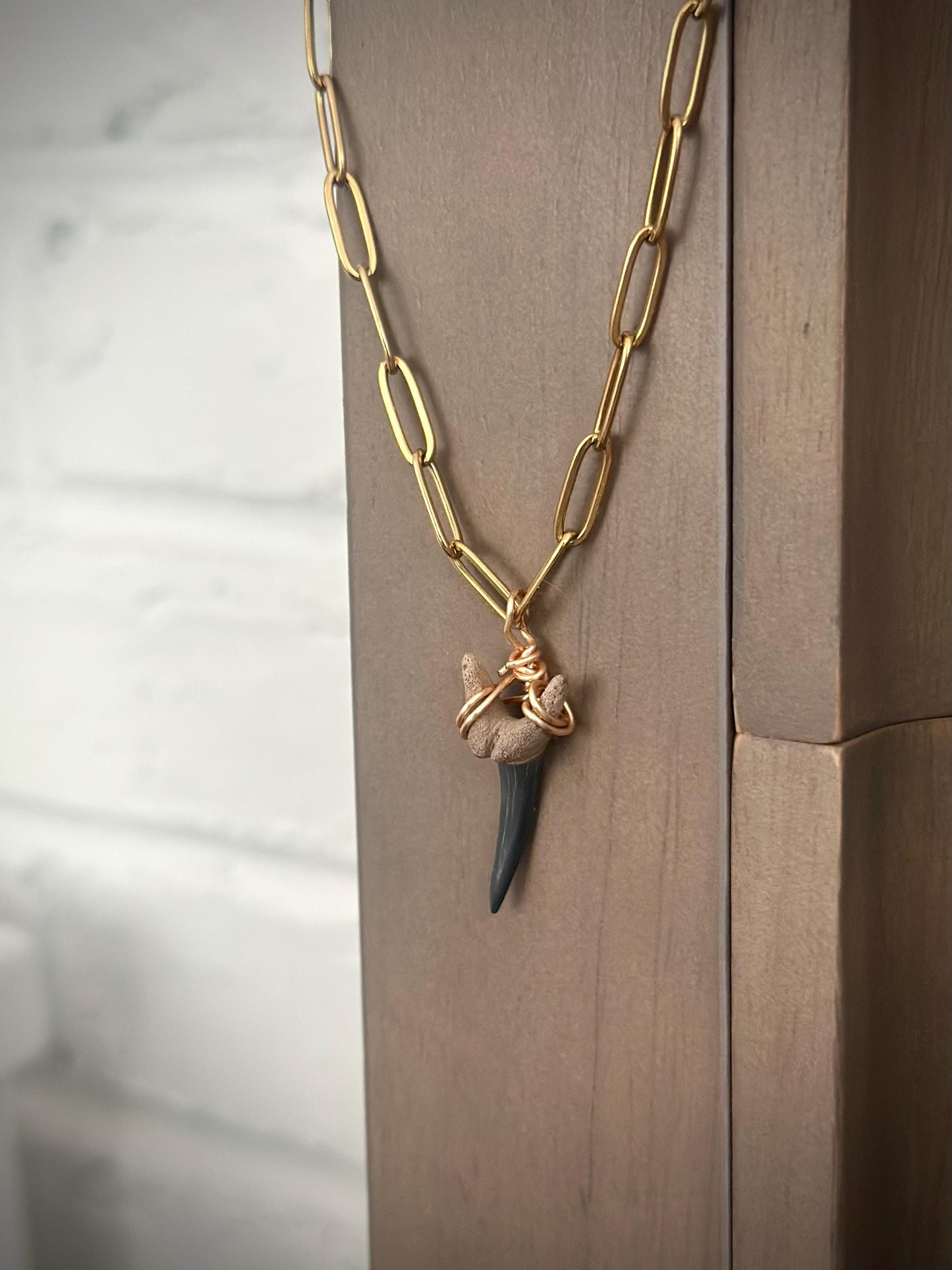 Fossil Shark Tooth Necklace: Gold Chain Coastal Jewelry