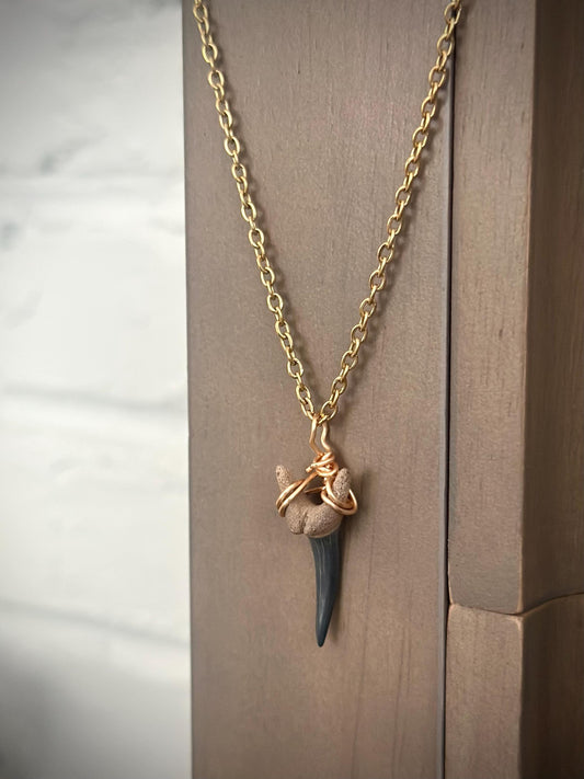 Fossil Shark Tooth Necklace: Gold Chain Coastal Jewelry