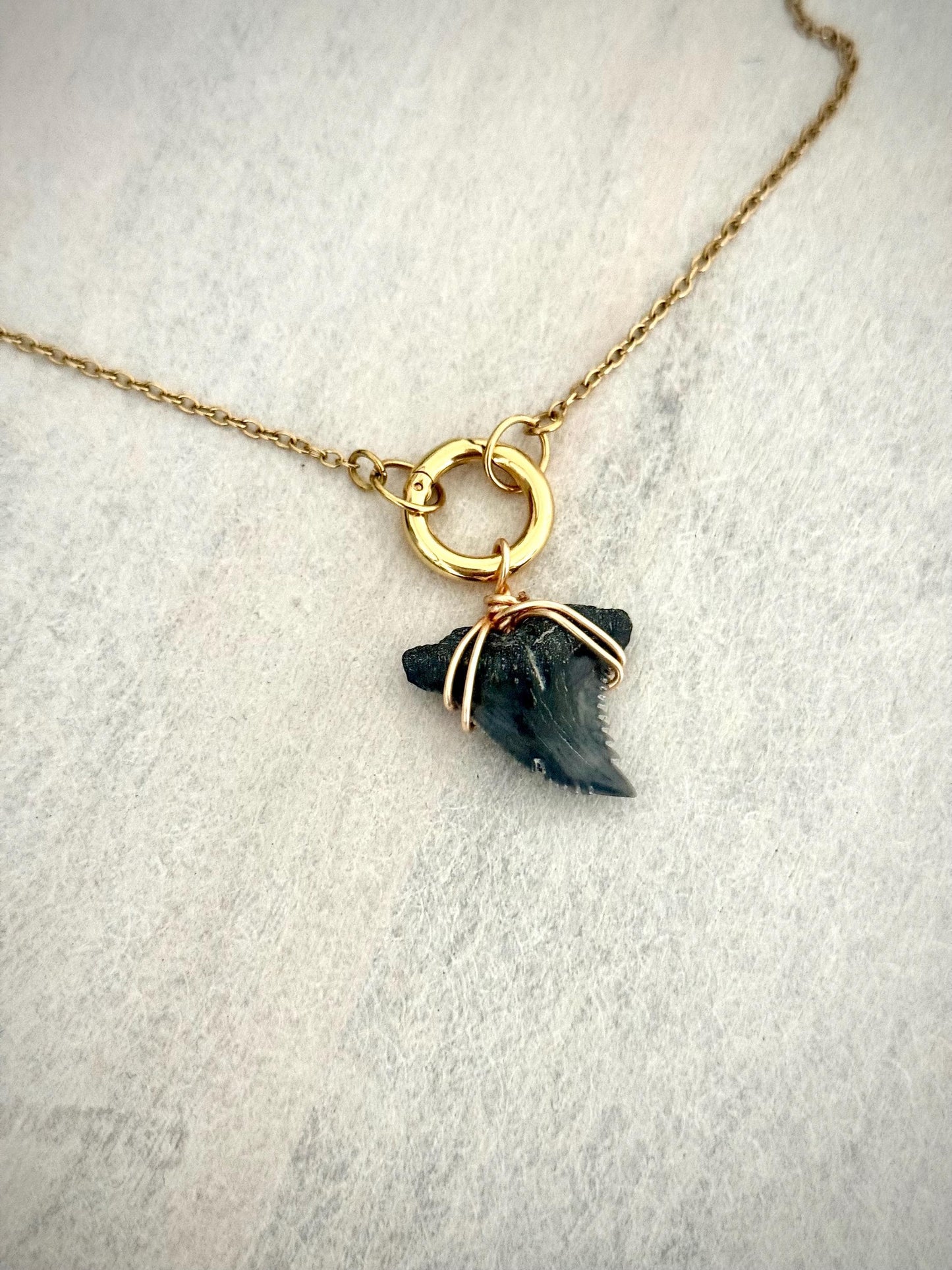 Charm Necklace Gold with Authentic Shark Tooth - Gift for Beach Lover Surfer