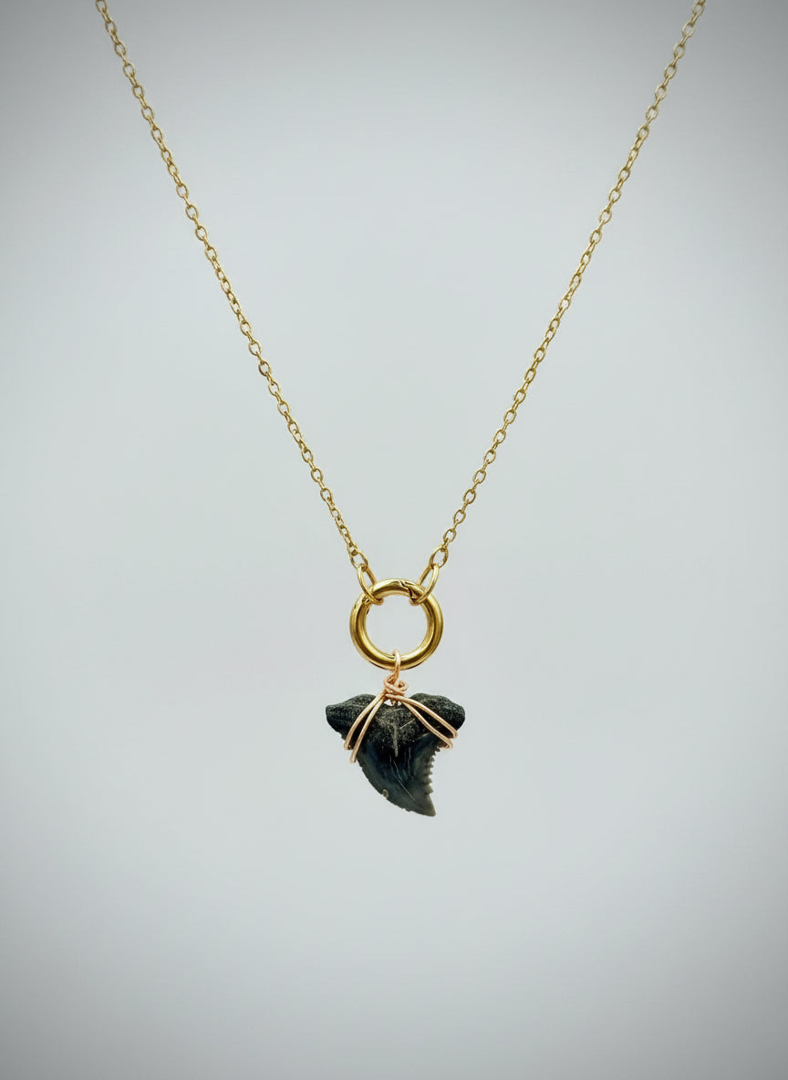 Charm Necklace Gold with Authentic Shark Tooth - Gift for Beach Lover Surfer