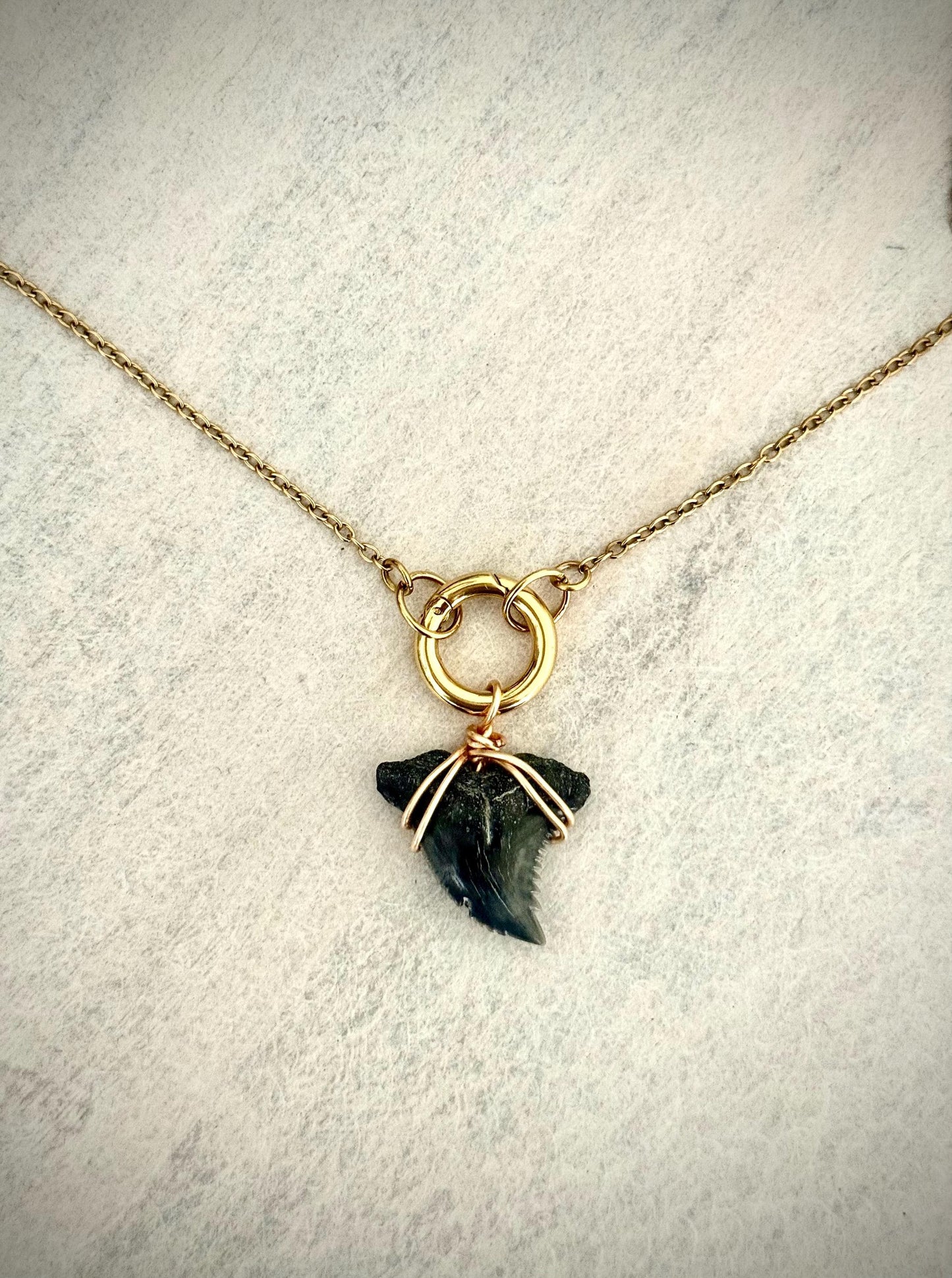 Charm Necklace Gold with Authentic Shark Tooth - Gift for Beach Lover Surfer