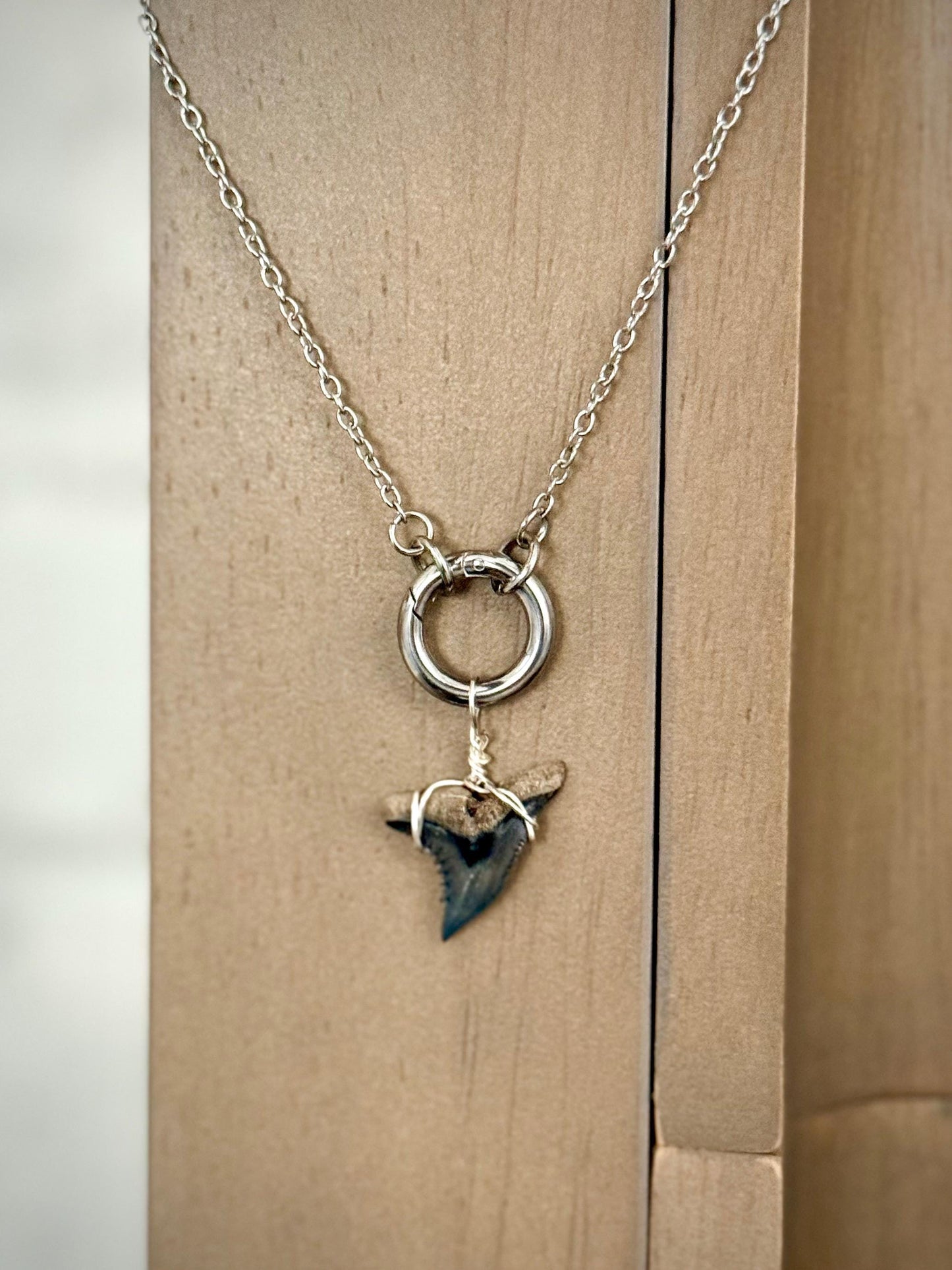 Silver Shark Tooth Charm Necklace Gift  Authentic Shark Tooth, Stainless Steel Tarnish Resistant Coastal Jewelry