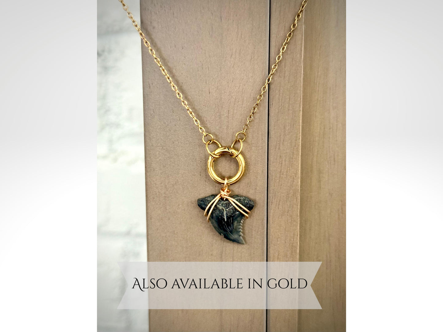 Silver Shark Tooth Charm Necklace Gift  Authentic Shark Tooth, Stainless Steel Tarnish Resistant Coastal Jewelry