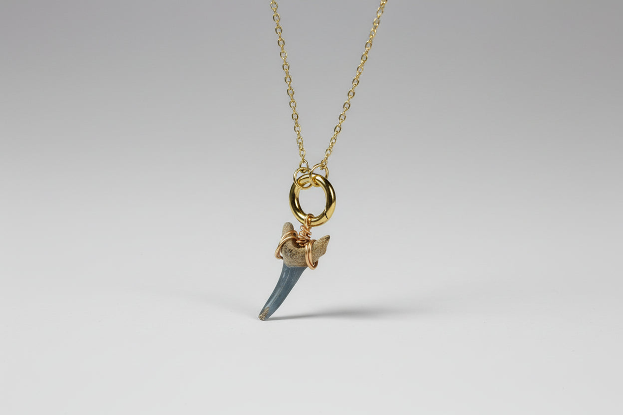 Gold necklace with a unique shark tooth pendant on a gray background