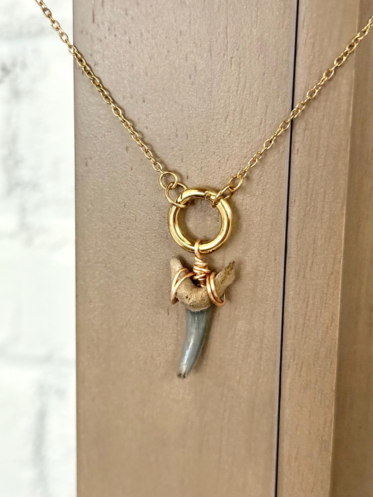 Shark Tooth Necklace with Gold Chain and Charm Holder - Coastal Jewelry