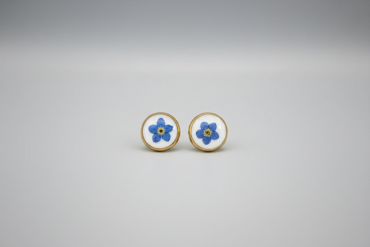 Pair of gold stud earrings with forget me not flower and white background.