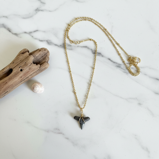Shark Tooth Necklace - Coastal Flat Lay