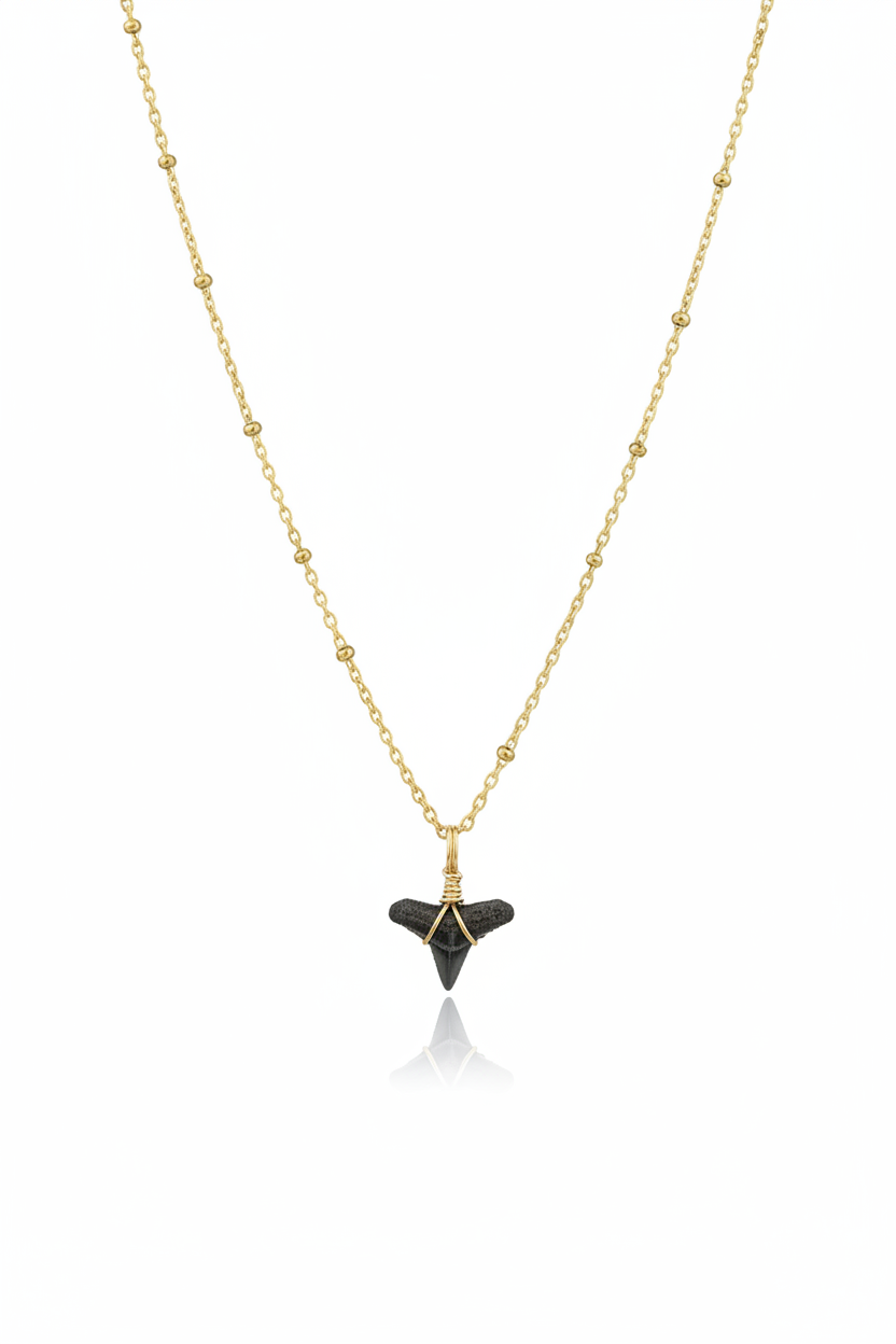 Shark Tooth Necklace – White Background Studio Shot